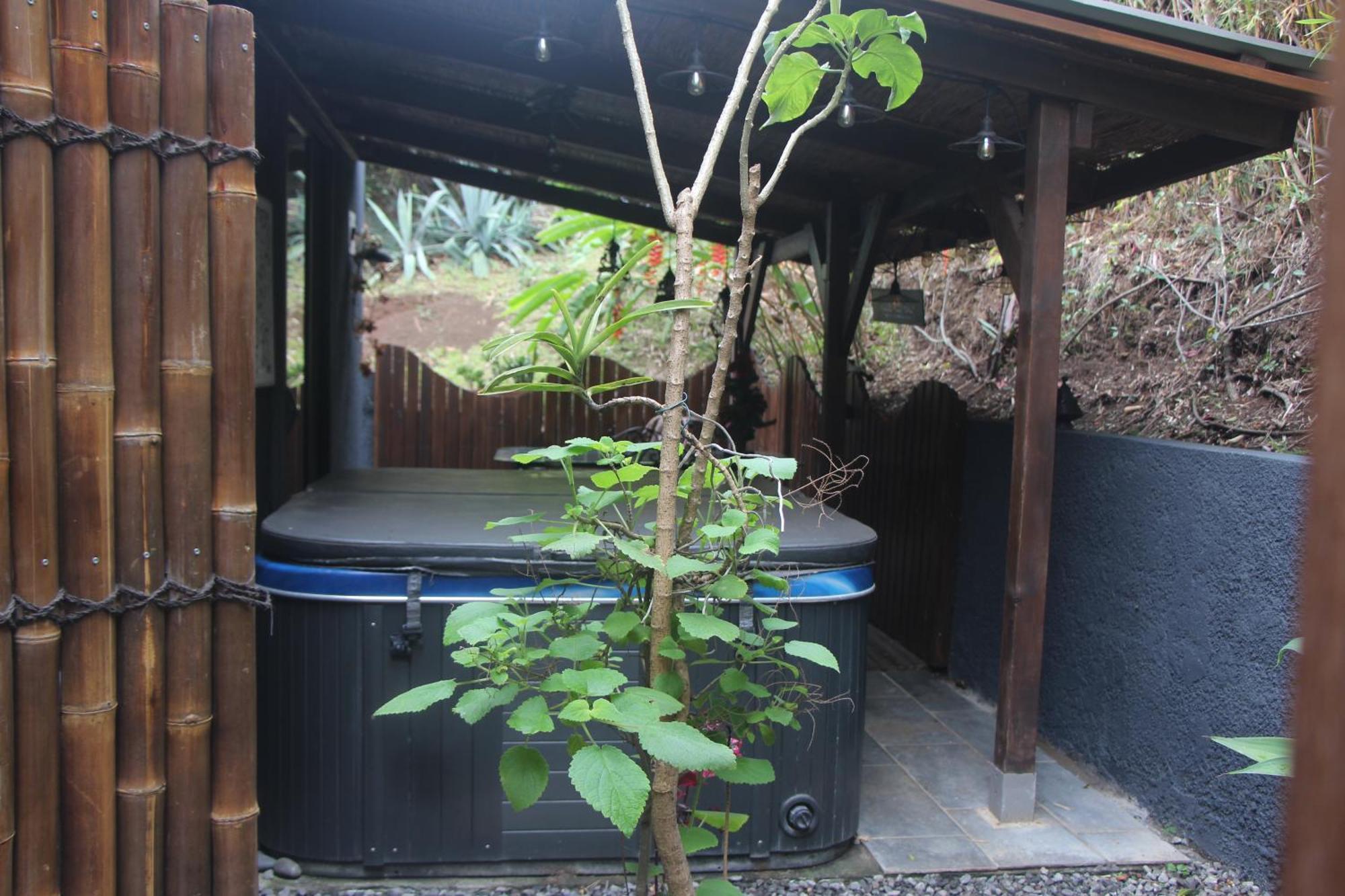 La Liane De Jade 974-Lodge Le Palissandre - Jacuzzi Privatif - Piscine Chauffee Le Bois de Nefles  Εξωτερικό φωτογραφία